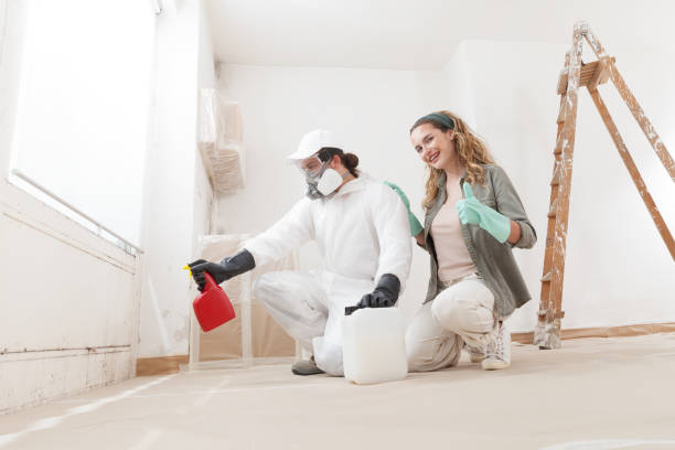 Professional Mold Inspection, Removal & Remediation in Box Elder, SD